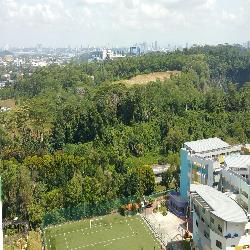Blk 630 Senja Road (Bukit Panjang), HDB 4 Rooms #44312342